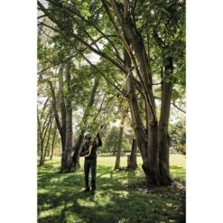 DeWalt DCPS620M1 20V MAX XR Cordless Pole Saw Kit -Tool Sale Store image 5599e4e2 e987 4885 9d06 0601089649c9